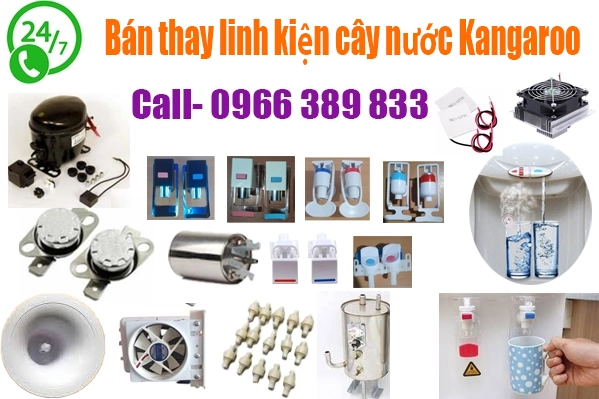 thay-linh-kien-cho-cay-nuoc-kangaroo-tai-nha