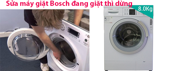 Sửa máy giặt Bosch đang giạt thì dừng