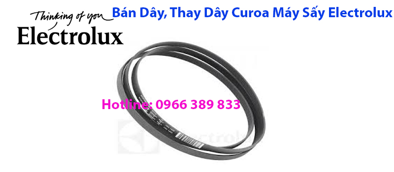 ban day curoa may say electrolux