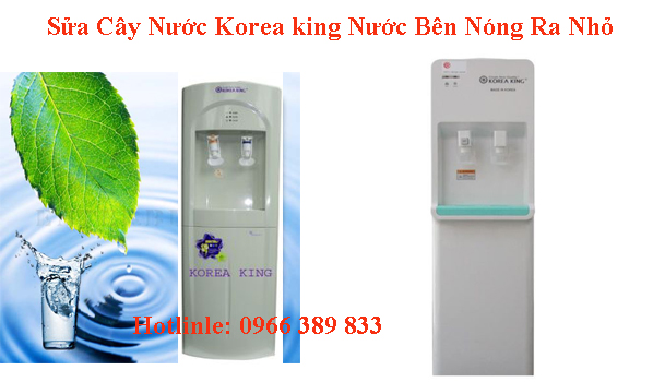 SỬA CÂY NƯỚC KOREA KING TAI BA DINH