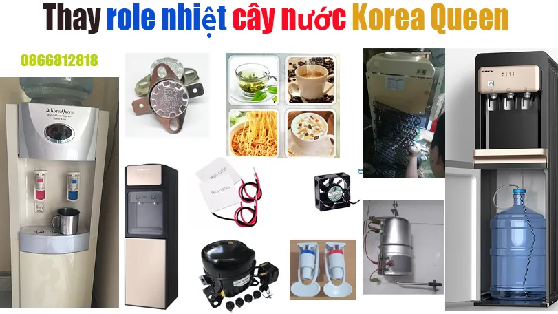 thay role cây nước korea queen