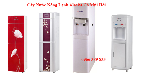 Cây Nước Nóng Lạnh Alaska Có Mùi Hôi