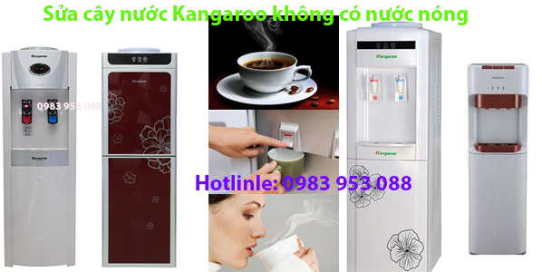 Chuyên sửa cây nước Kangaroo nước không có nóng