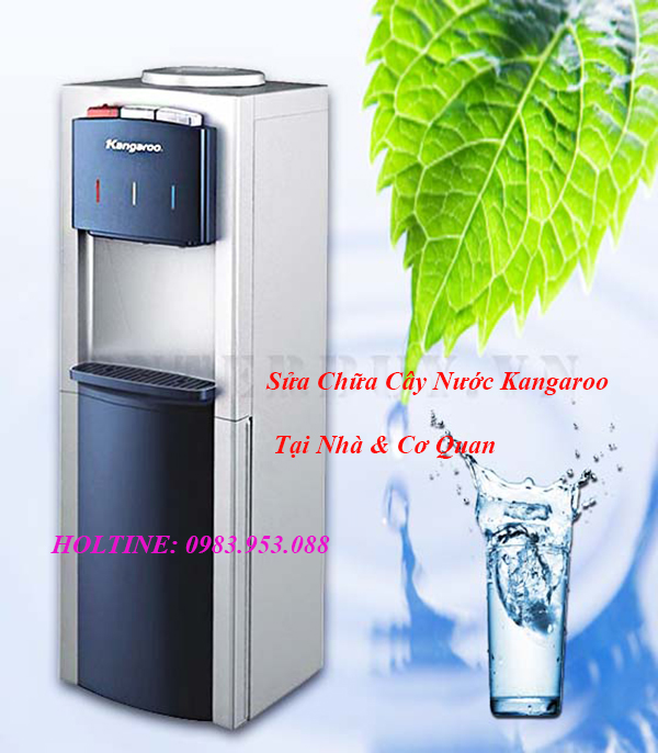 sua cay nuoc kangaroo
