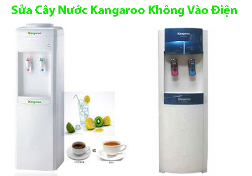 sua cay nuoc kangaroo khong vao dien tai nha