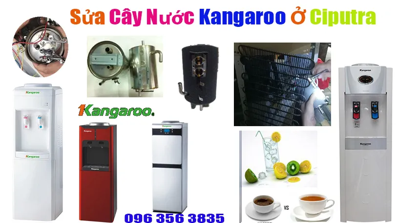 sửa cây nước nóng lạnh Kangaroo tại ciputra
