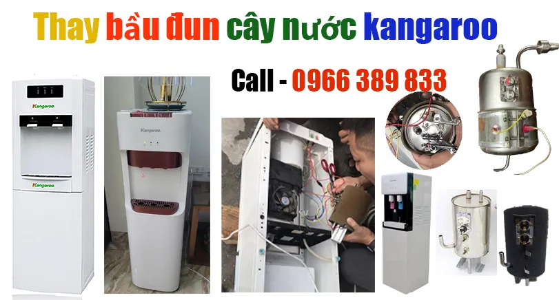 ban-thay-bau-dun-cay-nuoc-kangaroo