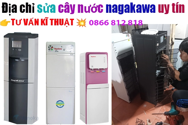 sua-cay-nuoc-nagakawa-tai-ha-noi-phuc-vu-nhanh