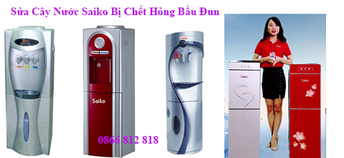 sua-cay-nuoc-saiko-bi-chet-hong-bau-dun