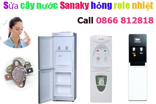 Thay Rơle Nhiệt Cây Nước SANAKY Tại Hà Nội