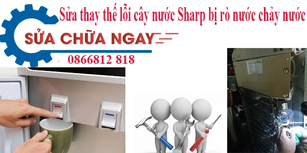 Chuyên sửa cây nước Sharp bị rò nước