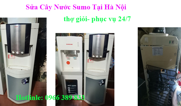 sửa cây nước sumo tại hà nội sửa cây nước sumo tại hà nội
