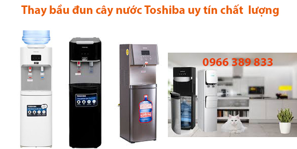 sửa cây nước toshiba hỏng bầu đun