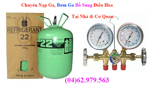 nao ga bom ga bo sung dieu hoa national