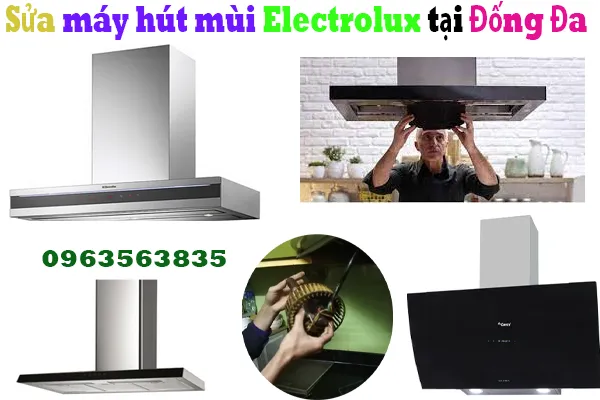 sửa mayshuts mùi electrolux tại quận đống đa