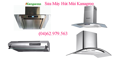 sua may hut mui kangaroo