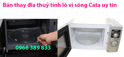 đĩa lò vi sóng cata