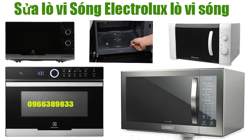 sua-lo-vi-song-electrolux-tai-ha-noi