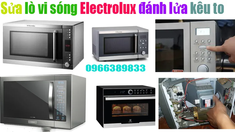 sửa lò vi song Electrolux đánh lửa kêu to tại hà nội