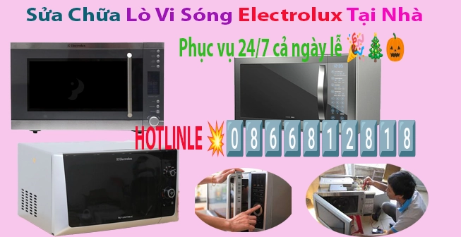 sua-lo-vi-song-electrolux-tai-nha