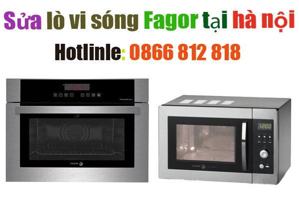 sua-lo-vi-song-fagor-tai-ha-noi-chat-luong sua-lo-vi-song-fagor-tai-ha-noi