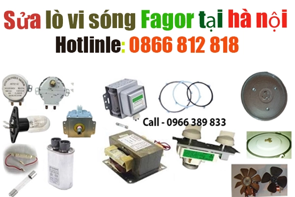 trung-tam-sua-chua-lo-vi-song-fagor-tai-ha-noi