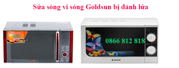 sóng vi sóng Goldsun đánh lửa trong lò