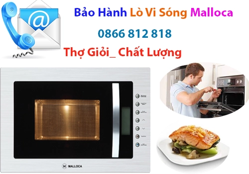 bao hanh lo vi song malloca tai ha noi