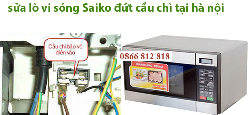 lo-vi-song-SAIKO-dut-cau-chi