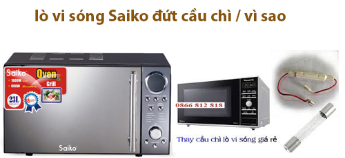 lo-vi-song-SAIKO-dut-cau-chi