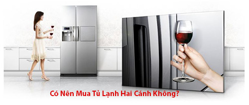 co-nen-mua-tu-lanh-hai-canh-khong