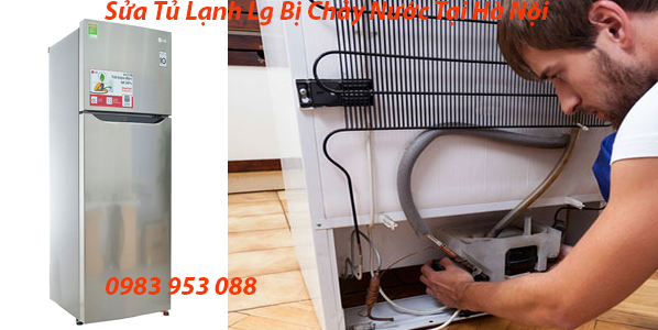 Sửa Tủ Lạnh Lg Bị Chảy Nước Tại Hà Nội