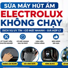 Sửa Máy Hút Ẩm Electrolux Không Chạy Tại Hà Nội